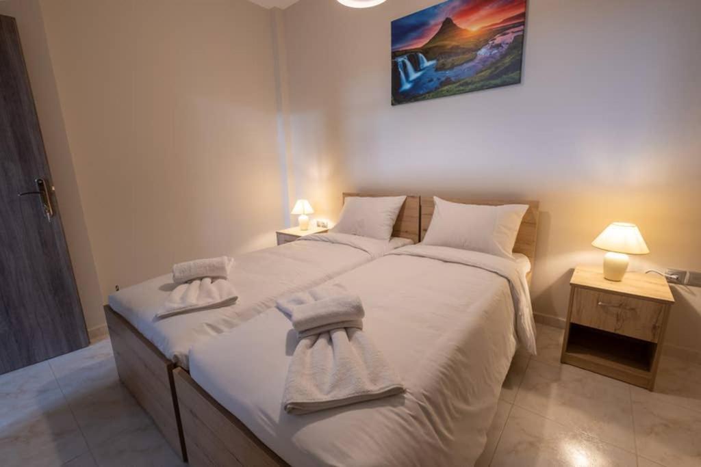 Oasis Twin Ii Prínos